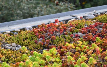 the cost of Comiston green roof installation