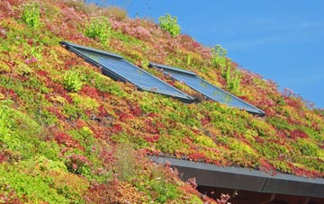 Comiston living roof systems