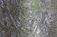 Comiston fibreglass roof work